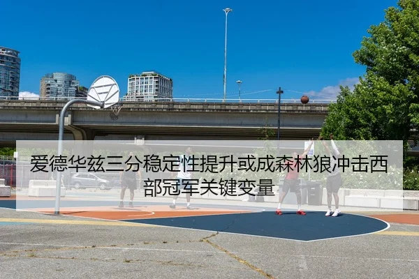 爱德华兹三分稳定性提升或成森林狼冲击西部冠军关键变量