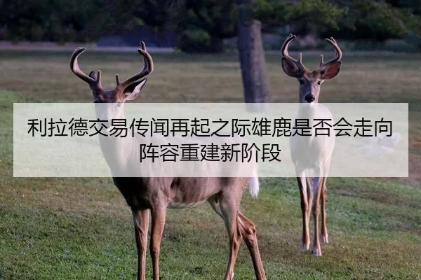利拉德交易传闻再起之际雄鹿是否会走向阵容重建新阶段 - kaiyun